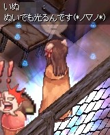 まぶしい(*ノノ)