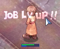アコ転職