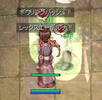 ダメージが写せてない!;