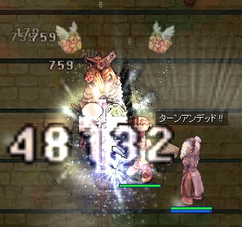 ホムのLvUPって撮るの難しい