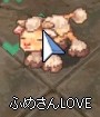 (*ノノ)