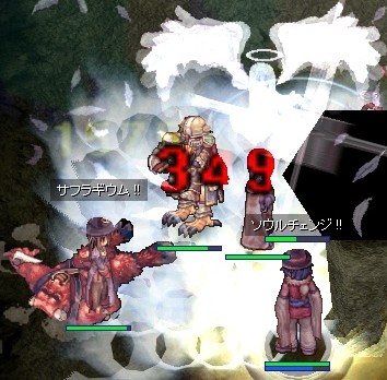 ぺるこたんLvうp!