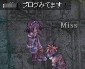 見てますコールキタ!