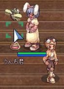 ペット