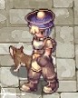 ハイノビ!