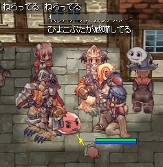 にらみ合い?!