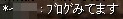 指定なし