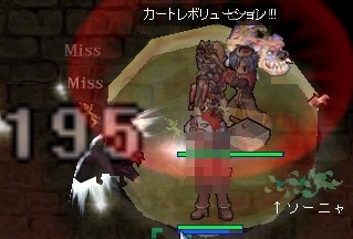 ヒロさんのホムが!
