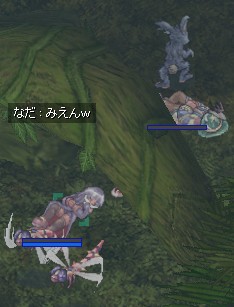 トンボが何匹か重なってた