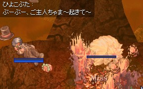 死体姿(*ノノ)