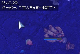 伊豆5