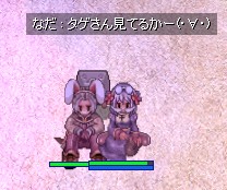 ハート島中央にて