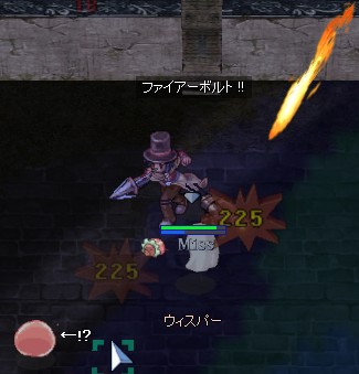 誰かのペットではないよ!